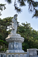 Obraz premium Carved stone statues in Guanyin figures at Haedong Yonggung Temple in Busan , South Korea