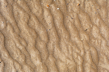 Texture of sand of red color with a pattern in the form of an ox on the seashore. Concept background, texture.