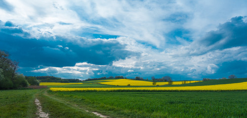 Fototapeta premium ŚCIEŻKA NA WZGÓRZACH TRZEBNICKICH