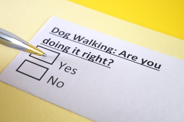 Fototapeta premium One person is answering question about dog walking.