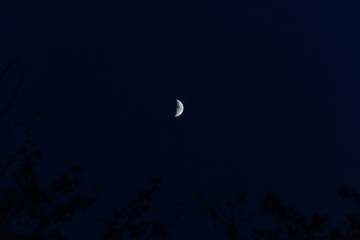Crescent moon with visible craters on a dark night.