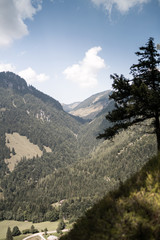 Obraz premium Mountainside