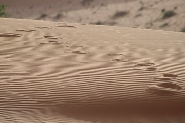 Footprints on sand dune, desert, loneliness background. 