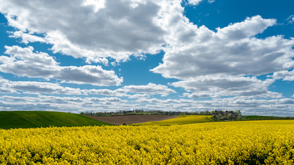 WZGÓRZA TRZEBNICKIE WIOSNĄ © RITHOR