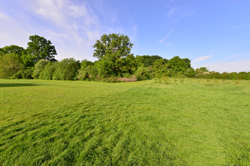 Emlyn Meadows in Horley, Surrey.