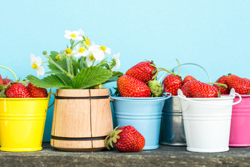 fresh strawberries in colored buckets