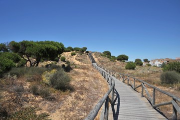 Fototapeta na wymiar Doana national Park in Andalusia, Spain.