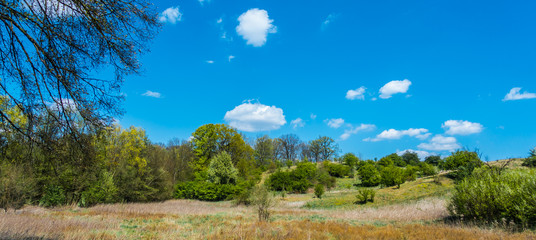 Fototapeta premium WIOSENNY KRAJOBRAZ