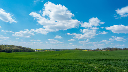 Fototapeta premium POLE WIOSNĄ W TLE OBŁOKÓW
