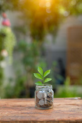 Saving money by hand puting coins in jug glass on nature background.