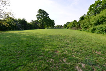 Fototapeta na wymiar Emlyn Meadows in Horley, Surrey.