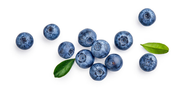 Fresh blueberries with bluberry leaves isolated on white background. Top vew.