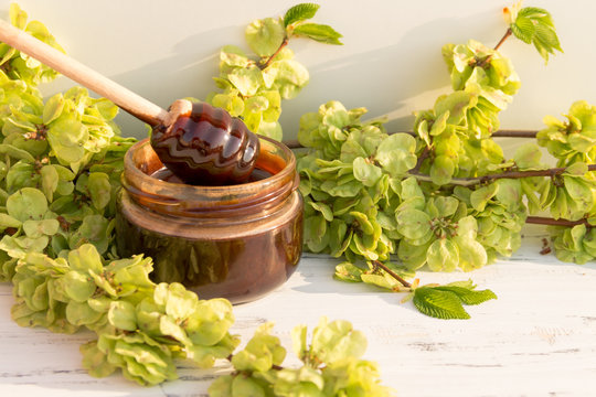 A jar of chocolate honey with spoon on white background with green branches.