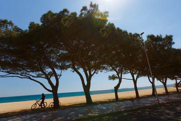 Fototapeta na wymiar Bellissimo paesaggio di una spiaggia sul mare e in primo piano degli alberi che fanno da quinta e un uomo in silhouette in bicicletta
