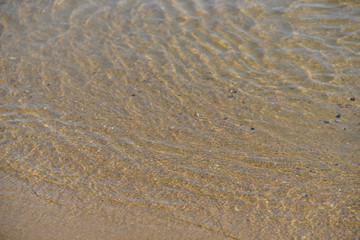 Seagulls at Haeundae Beach, Busan, South Korea, Asia