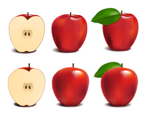 red apples illustration of fresh apple icon.