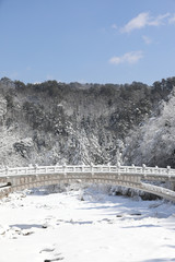 Beautiful winter landscape. Snowy mountains, trees, and bridge scenery. Odaesan National Park, Gangwon Province, Korea