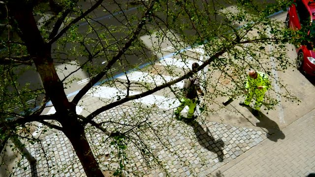 urban street cleaning sweeping. Worker with broom