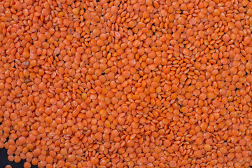 Orange lentils full background top view. Legumes pulses texture.