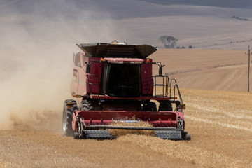 Combine harvester in a field working.  Baling machinery working in a field. 
