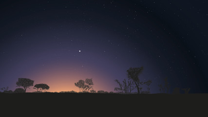Naklejka na ściany i meble Starry sky over the African savanna