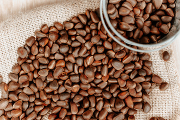 raw pine nuts spilled across the table. concept of harvesting in a small bucket