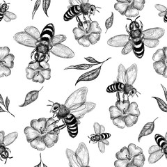 Beauty realistic bee on flowers seamless pattern. Hand drawn pencil illustration of wasp on a flowering apple tree. Isolated on white background. Trendy summer design for beekeeping. World bee Day.