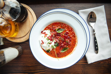 Appetizing pappa al pomodoro soup with tomatoes