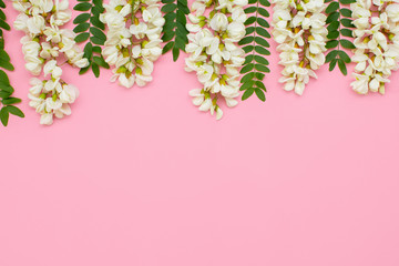 Creative layout with white flowers on a light pink background. Minimal idea of love of nature. The concept of spring flowers.