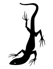 Silhouette of a lizard. Tattoo, logo, sign, vector illustration