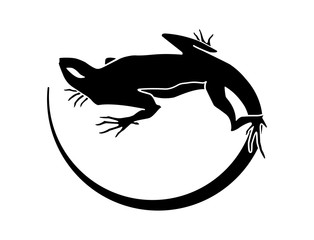 Silhouette of a lizard. Tattoo, logo, sign, vector illustration