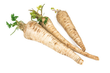 raw parsley roots on white