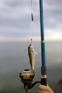 fishing rod and reel