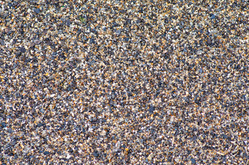 Sea stones seashells sand macro background textured natural
