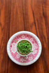 fresh herbs in a bowl