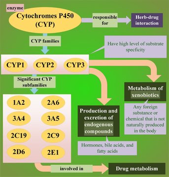 CYP enzyme in human body (Source: Shaikh, A. S., Thomas, A. B., & Chitlange, S. S. (2020, May). Herb-drug interaction studies of herbs used in treatment of cardiovascular disorders-A narrative review 