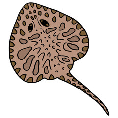 Brown stingray on white isolated backdrop. Sea creature for gift card, tattoo parlor or pet shop logo, diving club emblem, bath tile. Phone case or cloth print. Doodle style stock vector illustration