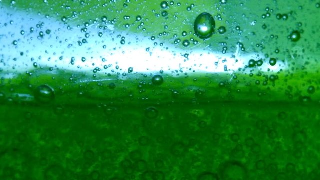 Bubbles on green background horizontal seamless pattern. Circle and liquid, light design, clear soapy shiny.slow motion