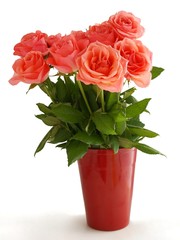 posy of pink roses in red pot close up