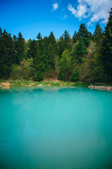 Fototapeta na wymiar Blue lake in green nature, wonderland in spring time