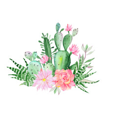 Watercolor succulent and cactus arrangement