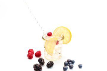 refreshing tonic drink with ice, lemon and fresh fruit.