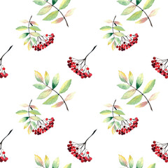 Seamless pattern with autumn watercolor leaves and berries