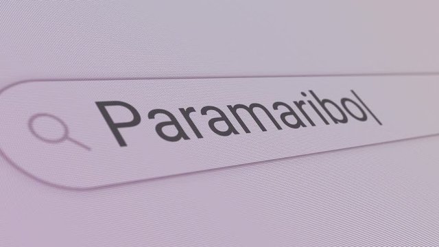 Paramaribo Search Bar Close Up Single Line Typing Text Box Layout Web Database Browser Engine Concept