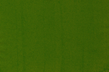 texture of green grass