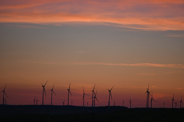 Obraz premium Windräder zur Stromerzeugung aus Windenergie am Horizont im Abendrot nach Sonnentungergang