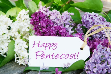 Happy Pentecost, Pentecost card with lilac.