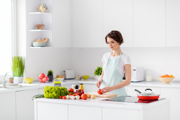 Photo of housewife attractive focused lady arms holding tomato cutting knife slices enjoy morning cooking tasty yummy dinner wear apron stand modern kitchen indoors