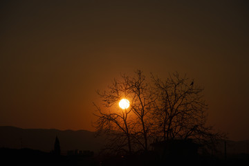 Tramonto in quarantena, voglia di libertà