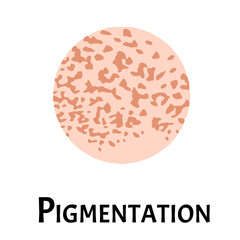 Pigmentation on the skin. A pigmented spot on the skin of the face. Vector illustration